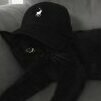 mitzy1739